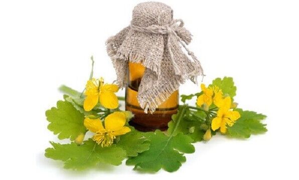 aceite de celidonia para fungos nas unhas